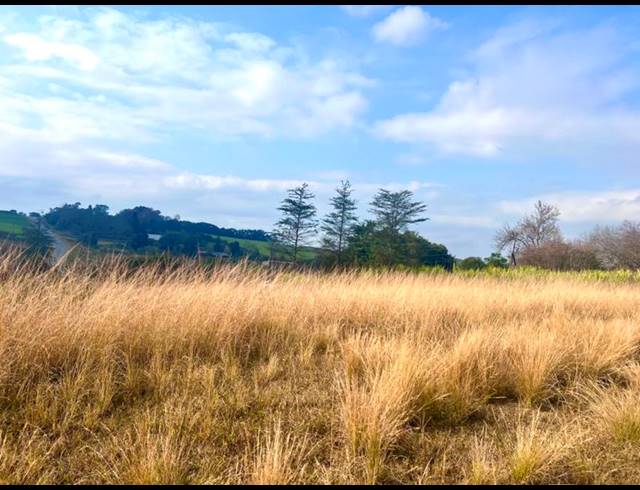 LAND FOR SALE IN BISHOPSTOWE